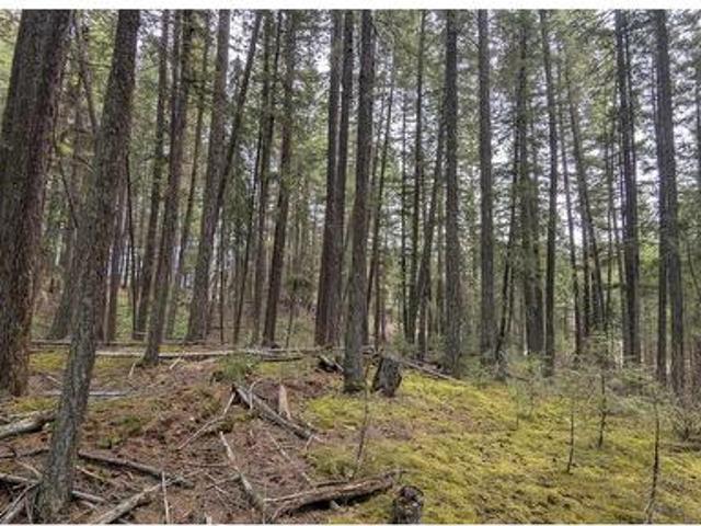 Land for sale in Eagle Creek, British Columbia