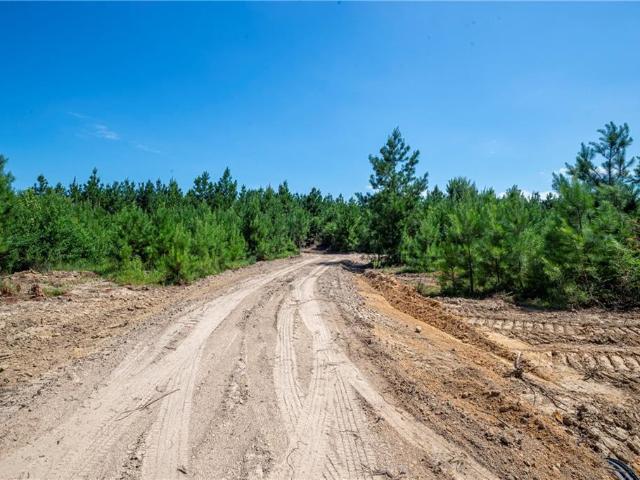 Land for sale in Pitkin, Vernon Parish