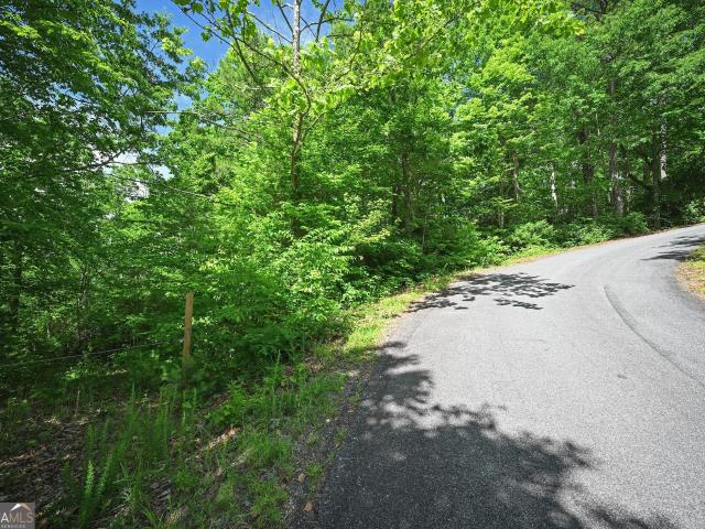 Land for sale in Hiawassee, Georgia