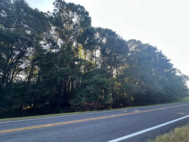 Land for sale in Goshen, Lincolnton