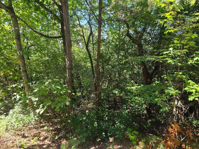 Land for sale in Macedonia, Hiawassee