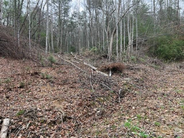 Land for sale in Tennessee