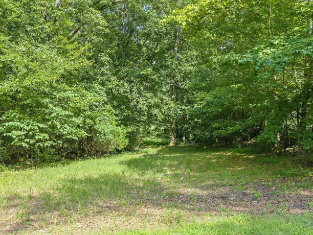 Land for sale in Tennessee