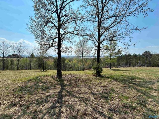 Land for sale in Alabama