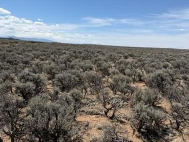 Land for sale in Fort Garland, Colorado