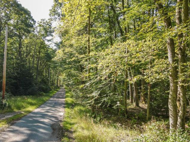 Land for sale in Oakland, Garrett County