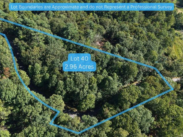 Land for sale in Hayesville, Clay County