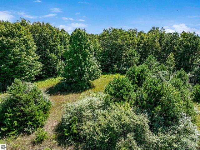 Land for sale in Michigan