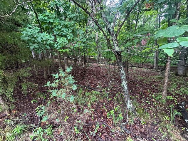 Land for sale in Brandenburg, Kentucky