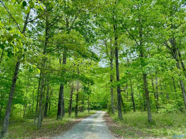 Land for sale in Mentone, Alabama
