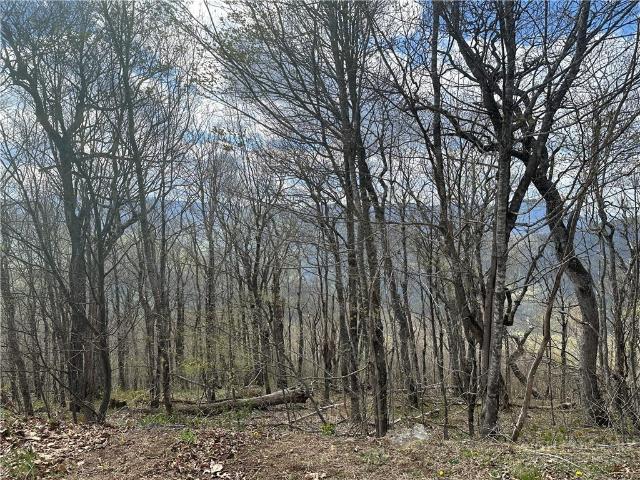 Land for sale in Blowing Rock, Watauga County