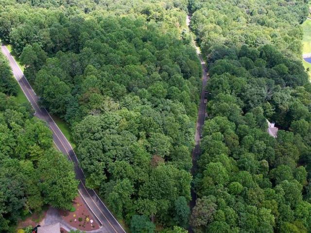 Land for sale in Landrum, South Carolina