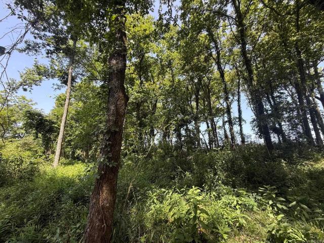 Land for sale in Ark