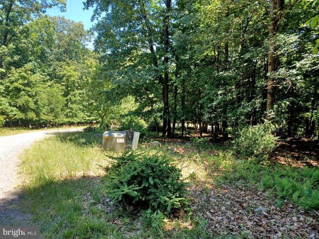 Land for sale in Paw Paw, West Virginia