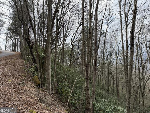 Land for sale in Clayton, Georgia