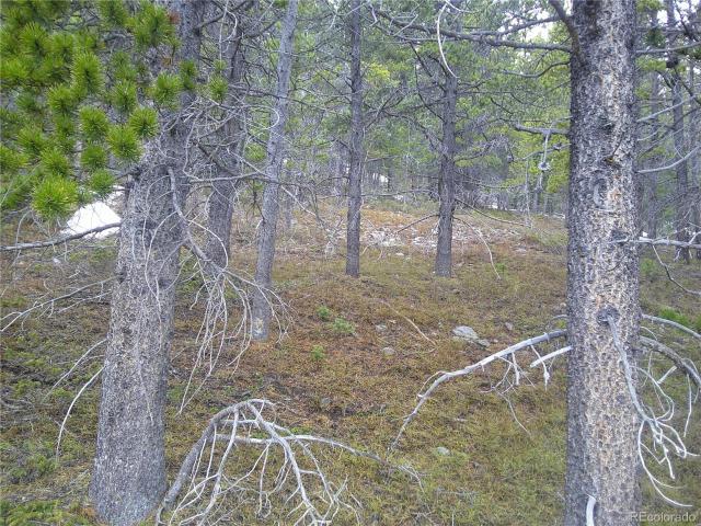 Land for sale in Clear Creek, Colorado