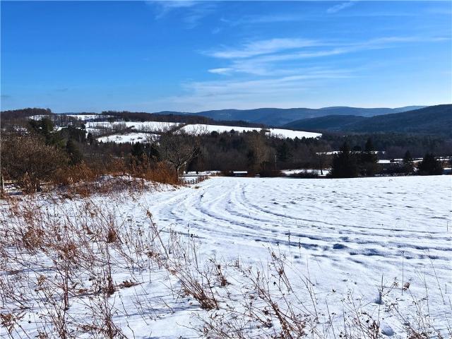 Land for sale in Hamden, New York