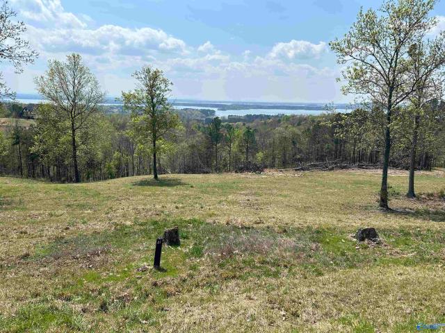 Land for sale in Cedar Bluff, Alabama