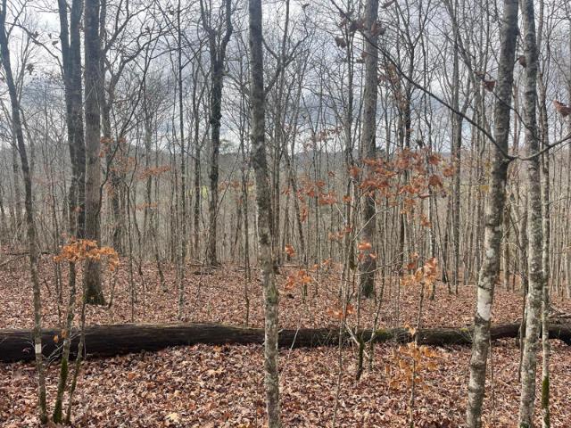 Land for sale in Somerset, Kentucky