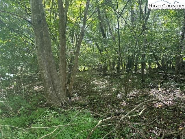 Land for sale in Lansing, North Carolina