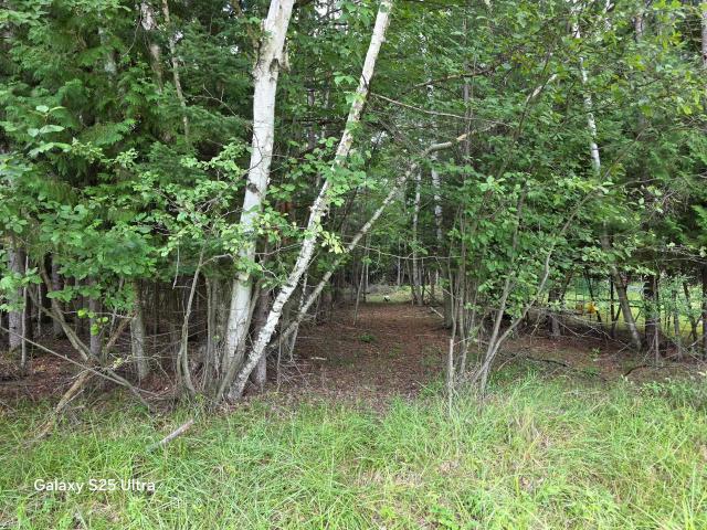 Land for sale in Michigan