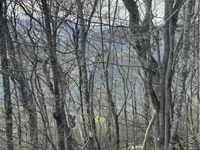 Land for sale in Blowing Rock, Watauga County