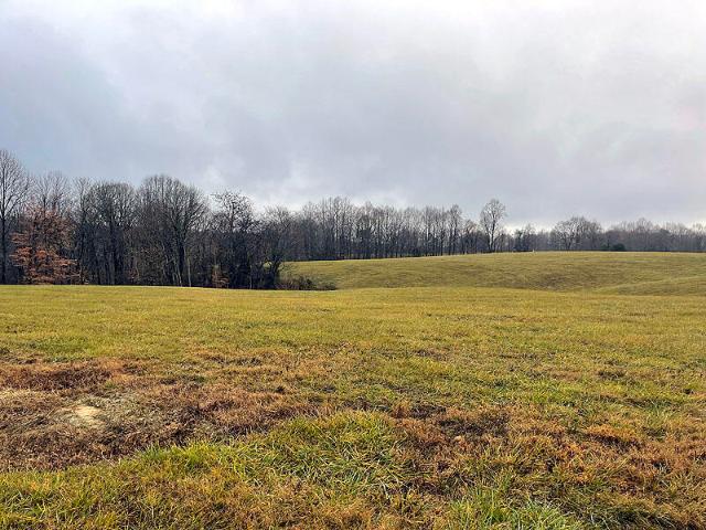 Land for sale in Russell Springs, Russell County