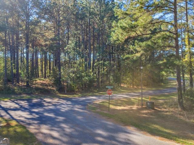 Land for sale in Dublin, Georgia