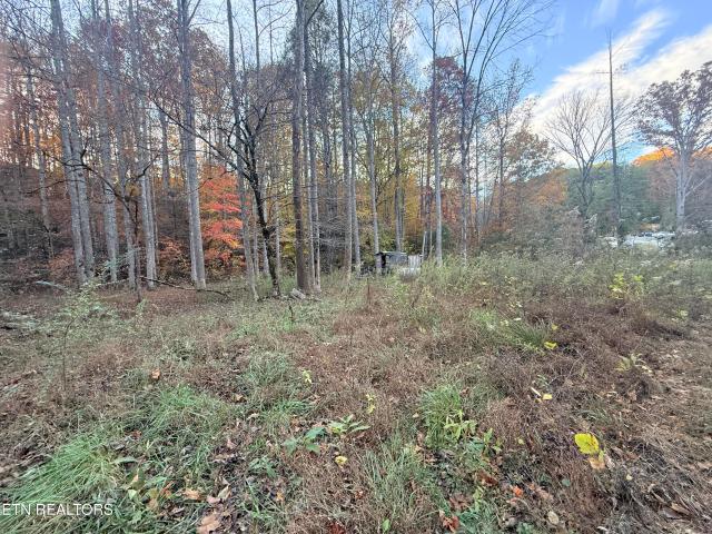 Land for sale in Tennessee