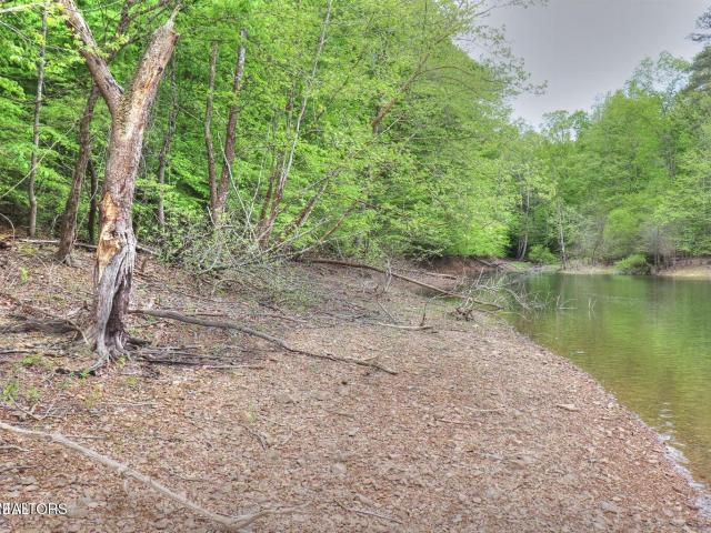 Land for sale in Tennessee