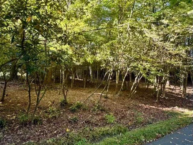 Land for sale in Montezuma, Newland
