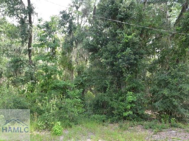 Land for sale in Midway, Georgia