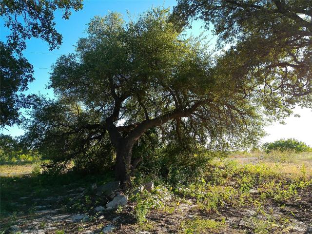 Land for sale in Bertram, Texas