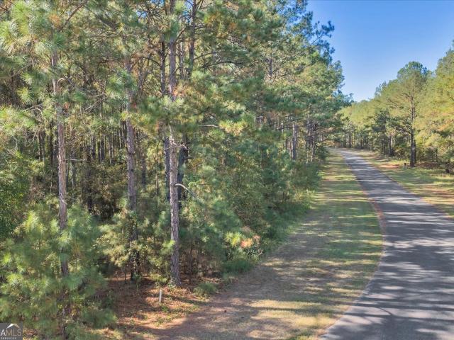 Land for sale in Dublin, Georgia