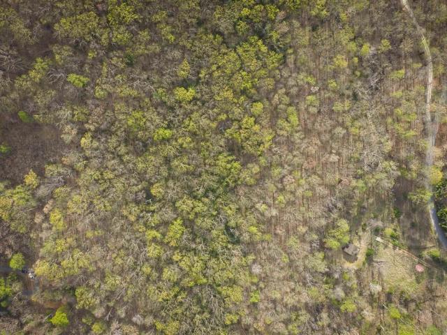 Land for sale in Virginia