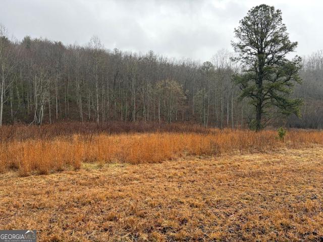 Land for sale in Hiawassee, Georgia