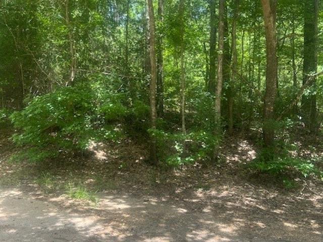 Land for sale in Coldspring Land for sale in Coldspring