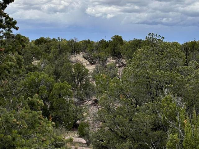 Land for sale in Magdalena, New Mexico