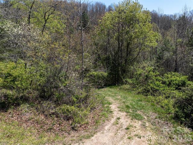 Land for sale in Clyde, Haywood County