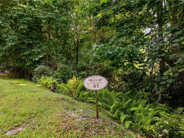 Land for sale in Avery, North Carolina