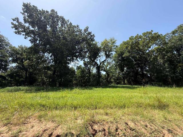 Land for sale in Ark