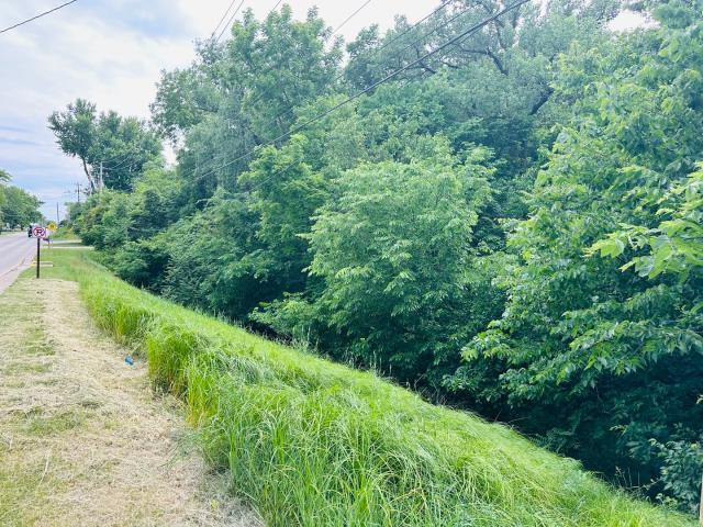 Land for sale in Silvis, Illinois