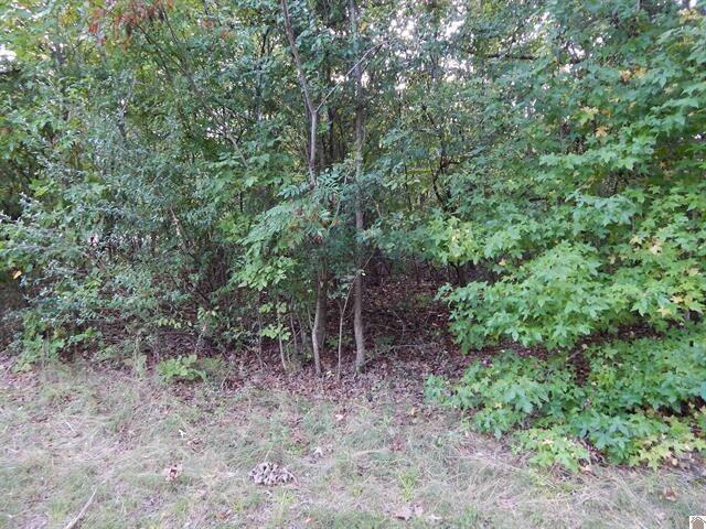 Land for sale in Eddyville, Kentucky