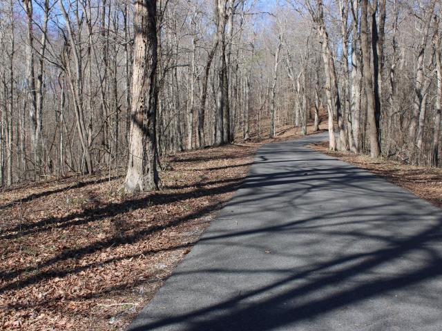 Land for sale in Eddyville, Kentucky