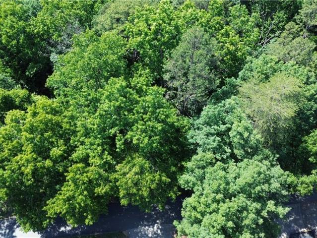 Land for sale in Ronda, North Carolina