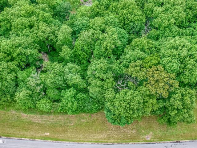 Land for sale in Tennessee