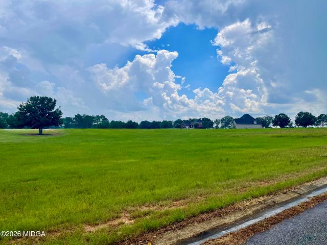 Land for sale in Hawkinsville, Georgia