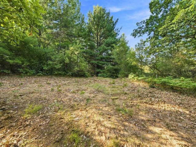 Land for sale in Michigan