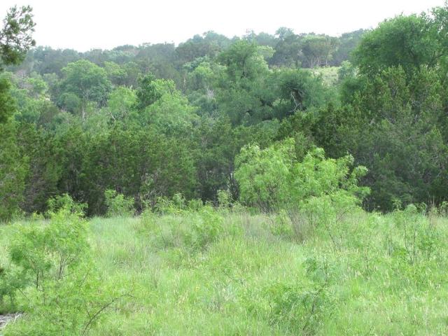 Land for sale in Hamilton, Texas