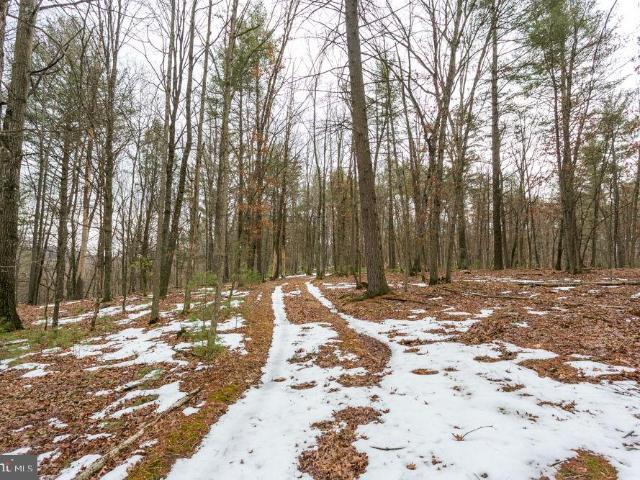 Land for sale in Virginia